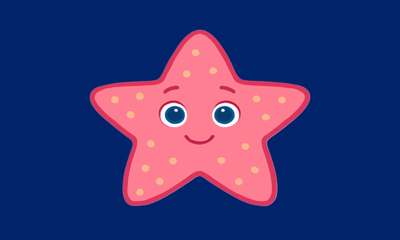 Starfish Trivia App Icon